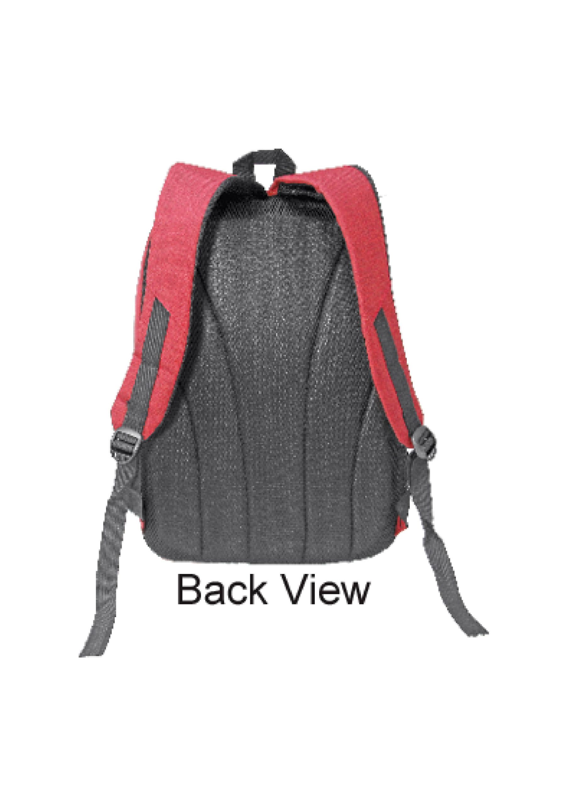 LT1811-BACK-VIEW-scaled