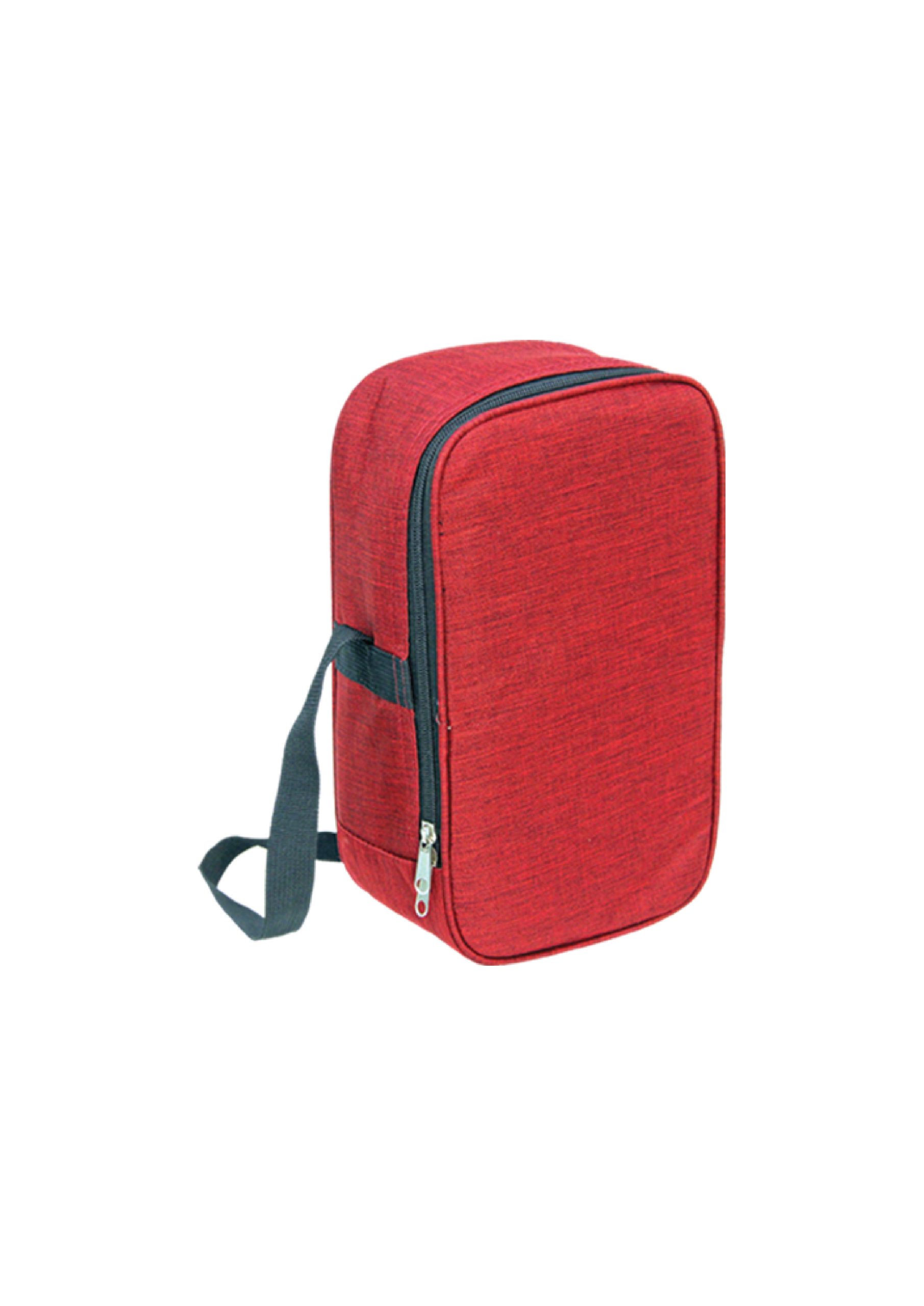 NTP110-MAROON-scaled